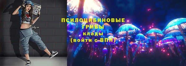 спайс Алзамай