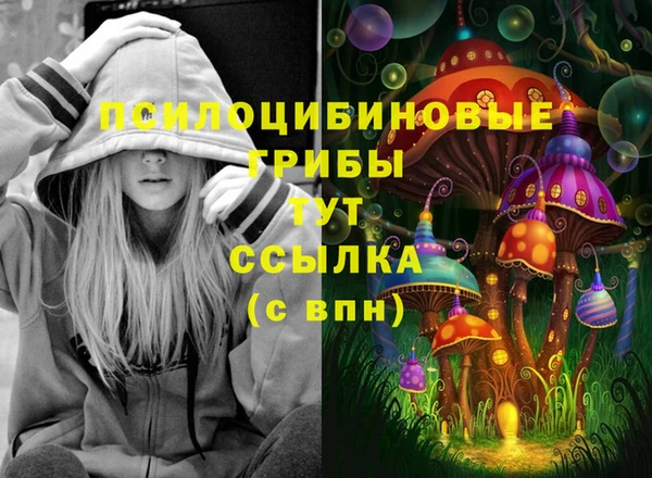 дмт Алексин