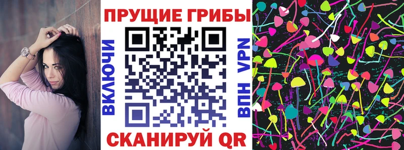 mega ONION  Боровск  Галлюциногенные грибы Cubensis 